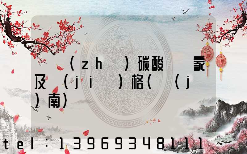 輕質(zhì)碳酸鈣廠家及價(jià)格(濟(jì)南)